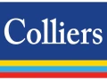Serviced Residences Emerging as Mainstream Investment in Indian Real Estate: Colliers
