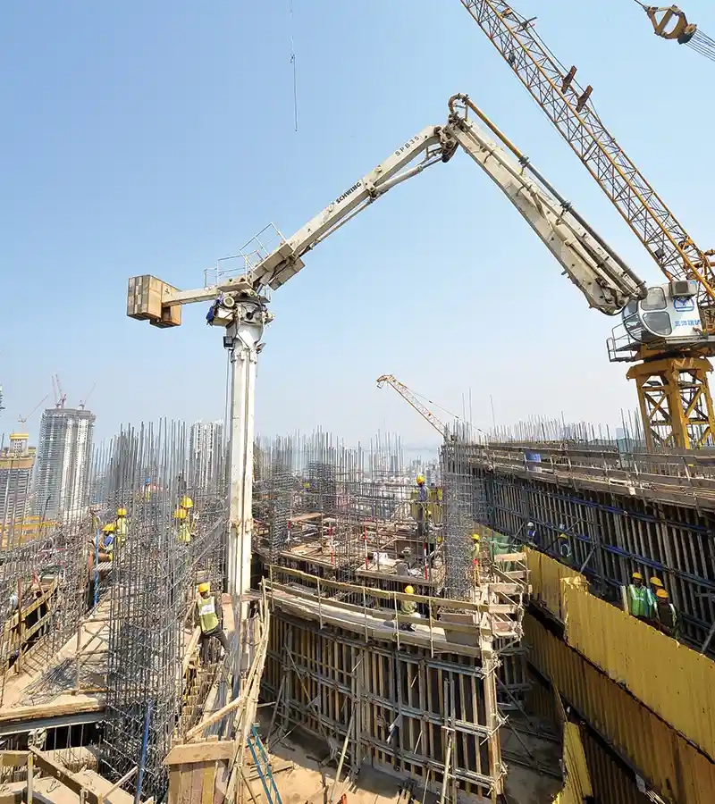 The International Monetary Fund (IMF)