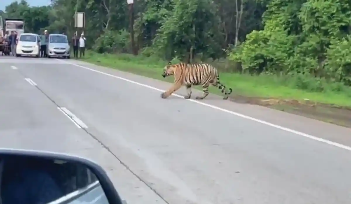 An inside story of Inadequate Geotechnical Investigations by Amol Shingarey