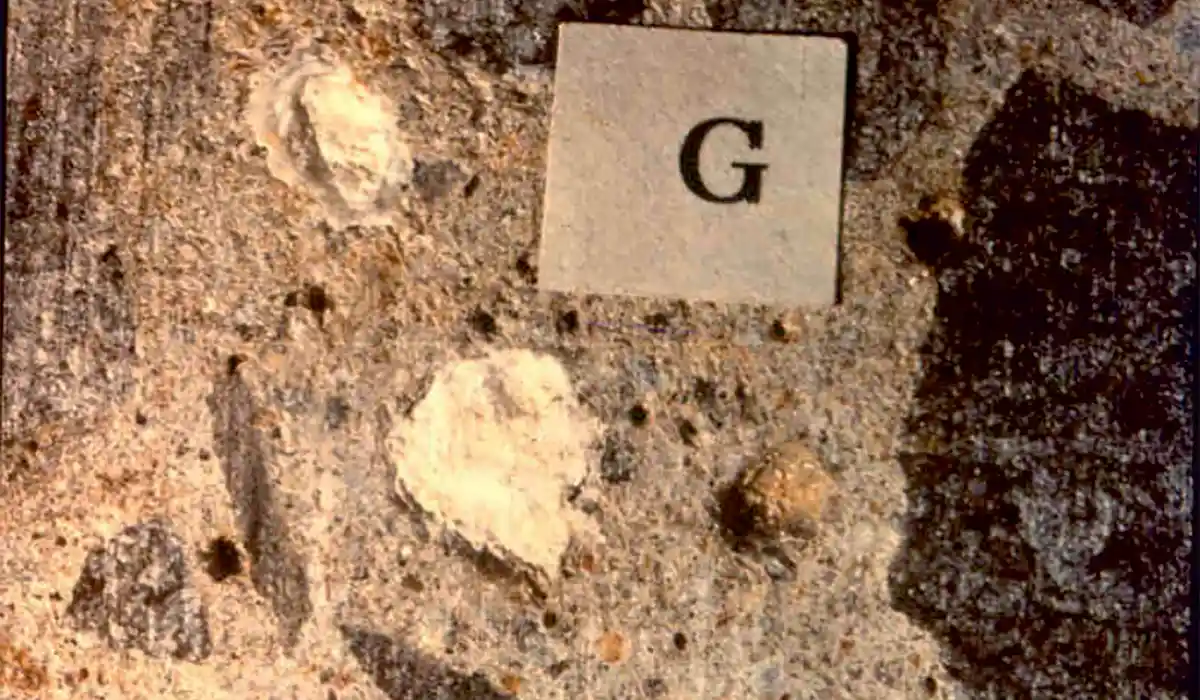 Concrete structures  are supposed to provide satisfactory service during