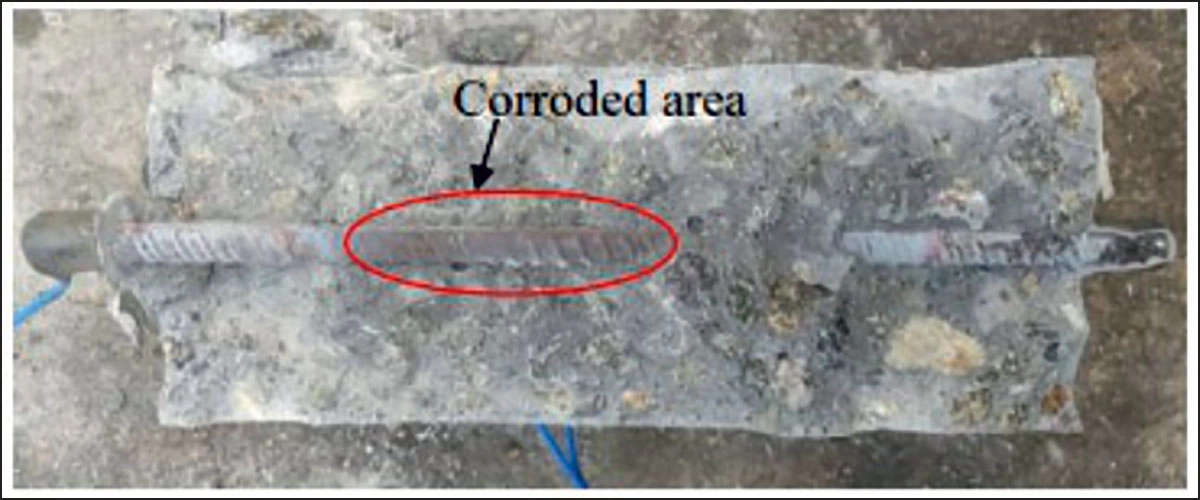 the world of construction