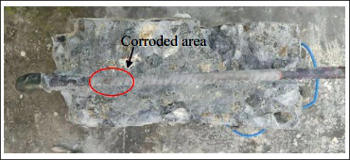 the world of construction