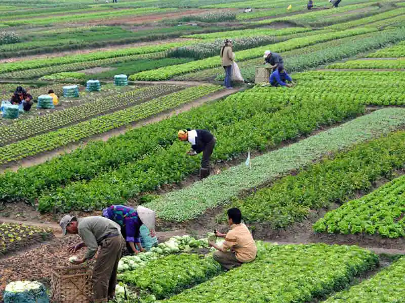 PMKSY Scheme Boost Food Safety & Infrastructure